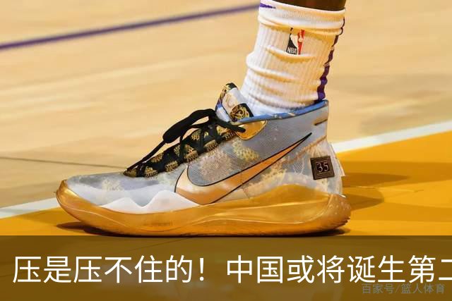 压是压不住的！中国或将诞生第二个华为
