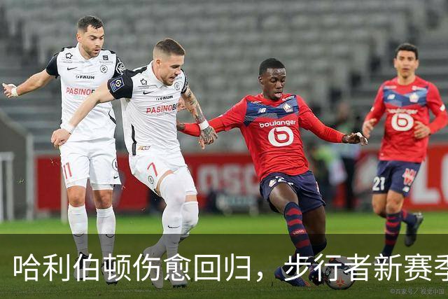 哈利伯顿伤愈回归，步行者新赛季观赛指南来了