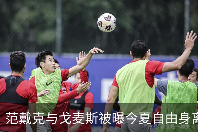 范戴克与戈麦斯被曝今夏自由身离队，利物浦双线告急